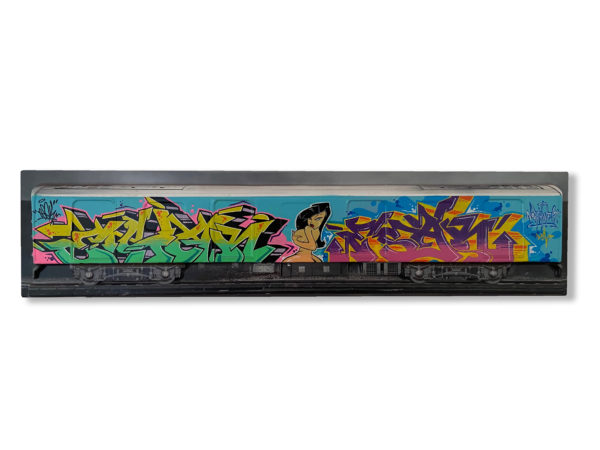 3D Train Poster - Naked Girl